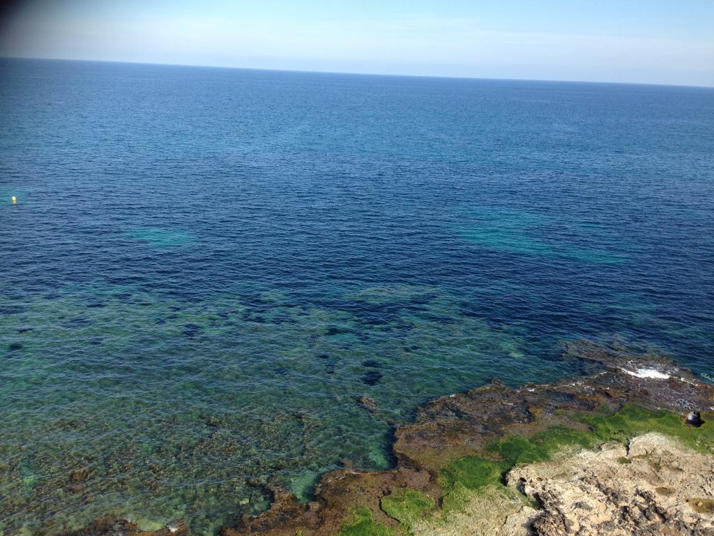 Apartamento Maestro Parada Torrevieja Ruang foto